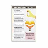 Urine Color Hydration Chart Dehydration Poster (3) Canvas Painting Posters And Prints Wall Art for Living Room Bedroom Decor 08x12inch(20x30cm) Unframe-style