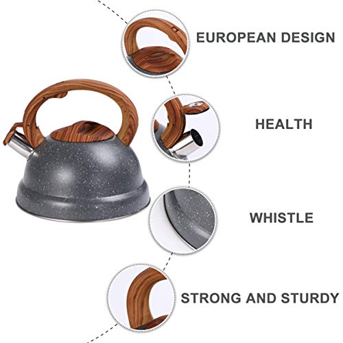 DOITOOL Chaleira de apito, chaleira de aço inoxidável 3L com cabo de madeira para home office