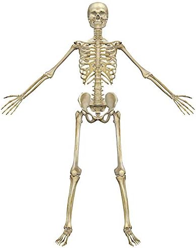 8" Round ~ Skeleton Spread Arms Birthday ~ Edible Cake/Cupcake Topper!!!