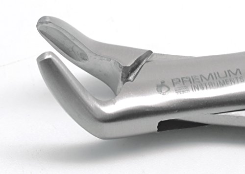 2 Pcs Dental Extracting Forceps 150S & 151S Upper Lower Molars Incisors Surgical Instruments #TOP7