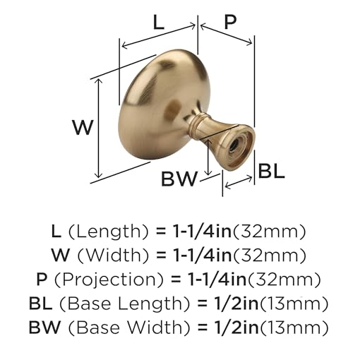Amerock Arden 1-1/4 inch (32mm) Diameter Champagne Bronze Cabinet Knob - 10 Pack by Amerock - Image 3