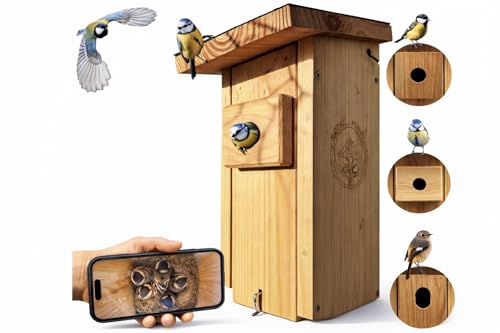Caja nido de alta calidad con cámara | Transmisión en vivo | Madera maciza certificada PEFC | Incubador | Cámara pajarera con cable de alimentación de 3 m | Idea de regalo para jardín