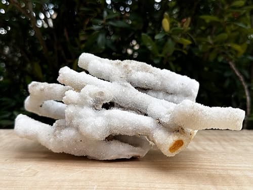 Image of GAF TREASURES Chalcedony & Crystal Quartz Stalactite 3-8 inch, Natural Quartz on Chalcedony Stalactite Specimen (1-2 lb)