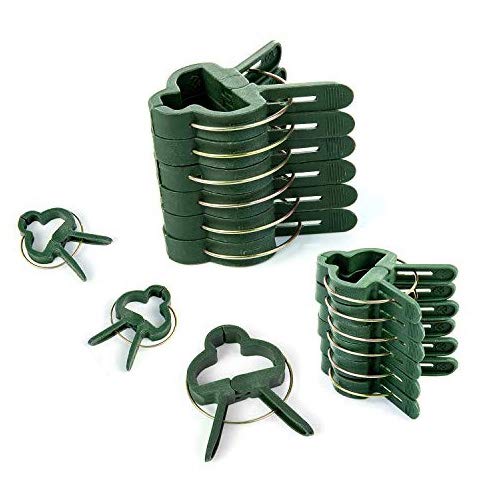 Comius Sharp Pflanzenclips Stabile Clips 100 Stück Clips, für Pflanzen Sicherung Unterstützt Einzupflanzen Tomaten, Rosen, Gurken und andere Rankpflanzen Stabile Klammern.(50 große + 50 kleine)