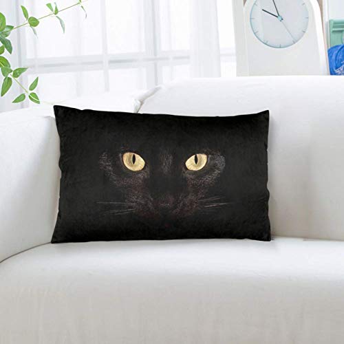 Black Cat Eyes Pillowcase For Hair And Skin - Queen Size (20 X 30 Inches) Bed Pillow Cover - Brushed Microfiber, Wrinkle, Fade & Stain Resistant - Hidden Zipper Closure Pillow Case #TOP3