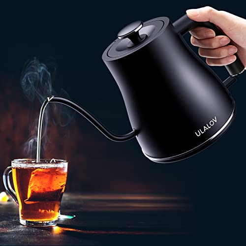 Top 10 Best Electric Hot Water Kettles Reviews & Buying Guide Katynel