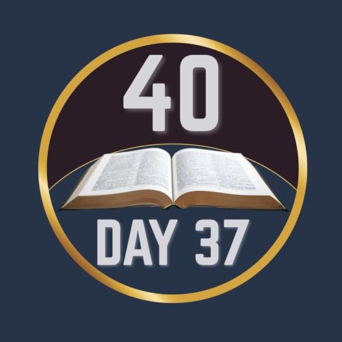 Day 37 - Romans & 1 Corinthians