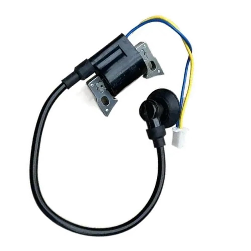 Bobine d'allumage stator pour réparer les pannes de démarrage du générateur