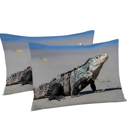 Parure de lit iguane 220x240 pour s'endormir face à l'océan chaque soir - 8