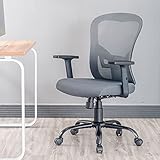QY Ergonomic Office Chair with Lumbar Support and Adjustable Arms, Grey Mesh Back Computer Chair, Comfortable Conference Manager Chairs for Home Office Study Work