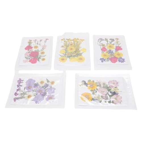 100 piezas flores secas prensadas para manualidades miniatura 5