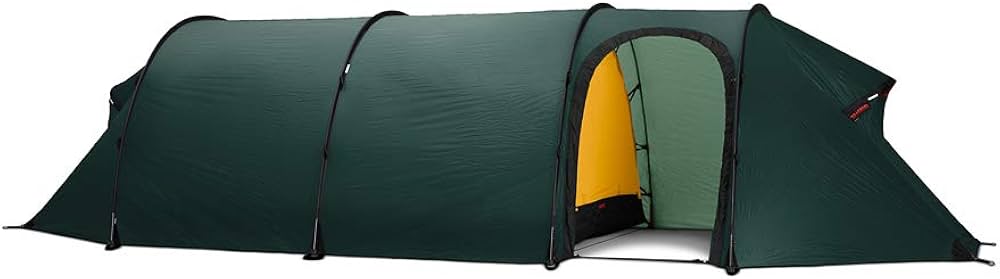 Amazon | [HILLEBERG(ヒルバーグ)] Keron 4 GT Green 12770013008004