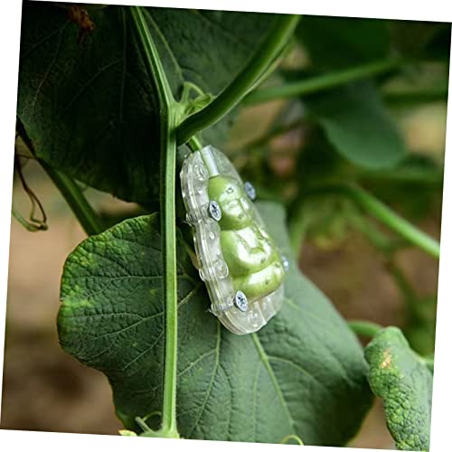 Happyyami 20 Stück Obstform Aus Pflanzlichem Kunststoff – Bild 4