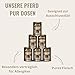 Escapure Pferd Pur Dose 6 x 400g - Nassfutter für Hunde - 100% pures Pferdefleisch Nassfutter - Premium Dosenfutter Pferd ohne Zusatzstoffe - Hunde Ergänzungsfuttermittelfrei von Getreide