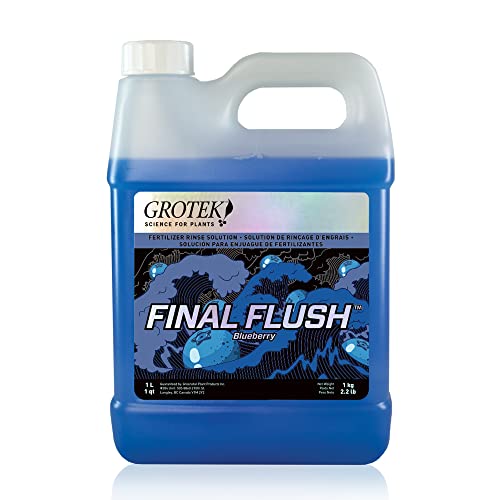 best fertilizer for blueberries