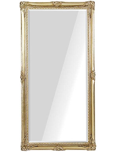 arne am ジャンボミラー （シャンパンゴールド）