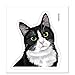 FINCIBO 5 x 5 inch Cute Black White Tuxedo Cat Removable Vinyl Decal Stickers for iPad MacBook Laptop (Or Any Flat Surface)