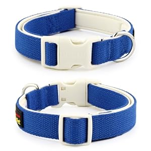 Plutus-Pet-Cotton-Dog-Collar-Heavy-Duty-Collar-with-Soft-Padding-Adjustable-and-Comfortable-for-Small-Medium-and-Large-Dogs-Royal-Blue-L - Cucciolini Doodles   Plutus-Pet-Cotton-Dog-Collar-Heavy-Duty-Collar-with-Soft-Padding-Adjustable-and-Comfortable-for-Small-Medium-and-Large-Dogs-Royal-Blue-L