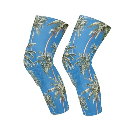 JUNZAN Tropical Palms Trees Basketball Knee Pads for Youth Kids Wrestling Knee Pads with Sleeves Sport Kneepads for Volleyball Football Blue