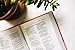 NRSVue, Holy Bible, Compact, Leathersoft, Peach, Comfort Print