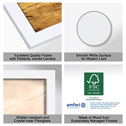 Jd Art Gallery Poster Frame 18X24 White, Handcrafted With Eco-Friendly Wood And Polished Plexiglass, Flexible Hanging In Horizontal Or Vertical Format And Hanging Hardware Included #TOP2