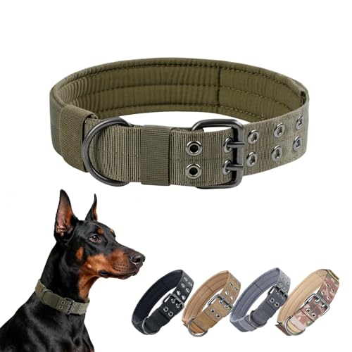 EXCELLENT ELITE SPANKER 1,5“ Breite militärische Hundehalsband einstellbare Metall D-Ring & Schnalle Arbeiten Hundehalsband für mittlere große Hunde(RGN-M)