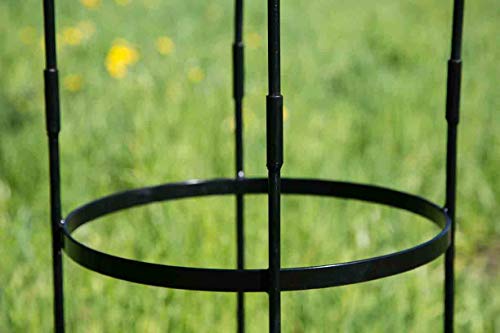 Rankhilfe Obelisk 300 cm Die 15 besten Produkte im Vergleich