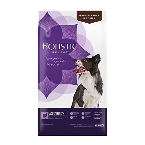Top 10 Best Holistic Dog Foods for Your Furry Friend's Health and ...