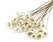 100 Stems Natural Dry Flowers Brazilian Small Star Daisy Decorative Dried Flowers Mini Daisy Chamomile Bouquet for Wedding Floral Arrangements Home Decorations (White)