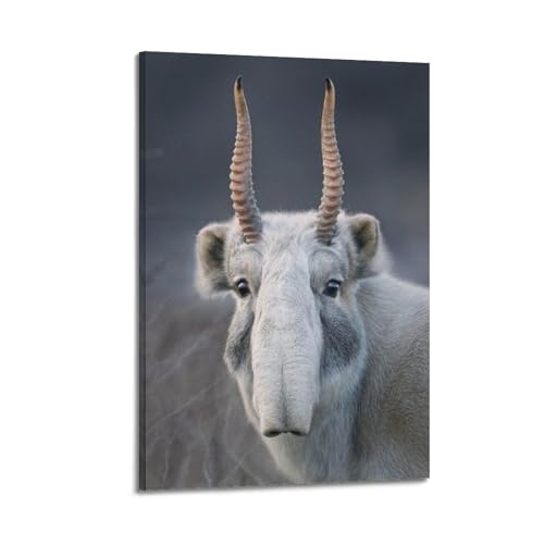Poster animaux étranges toile moderne image art mural 60x90