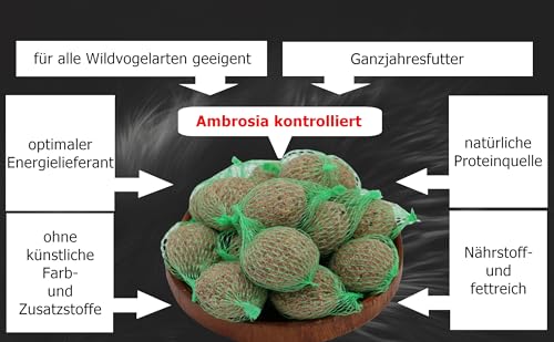 Anhaltiner Meisenknödel 30 Stück mit Netz mit Insekten Anhaltiner Vogelfutter