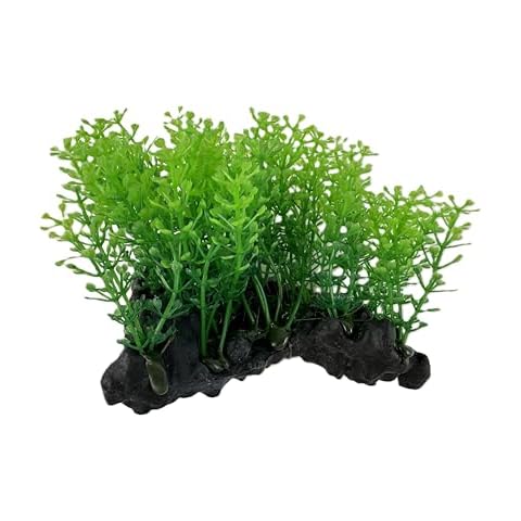 Gingerbread Pet Supply Aquatic Plastic Plant with Large Rock Base Cover