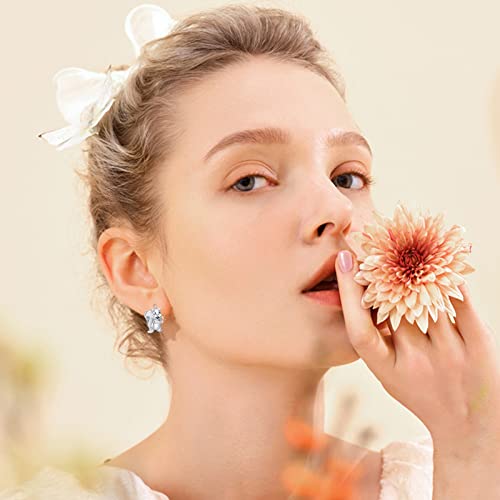 Squirrel Earrings 925 Sterling Silver Cute Animal Leverback Hoop Earrings Squirrel Jewelry Gifts For Women Girls Squirrel Lovers Hypoallergenic Earrings For Sensitive Ears #TOP3