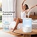 Imagen de Aigostar Humidificador de aire 2