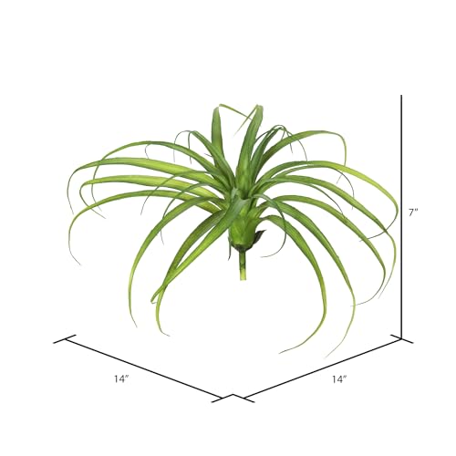 Vickerman Everyday 14