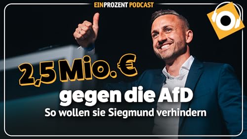 Geplante Sabotage der AfD-Erfolge &ndash; eine Gegenstrategie