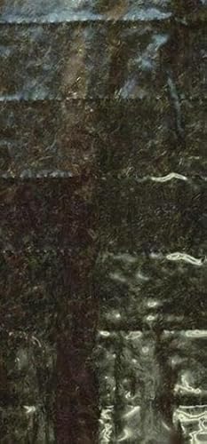 [周南市][業務用]長崎県産焼のり100枚 [国産]