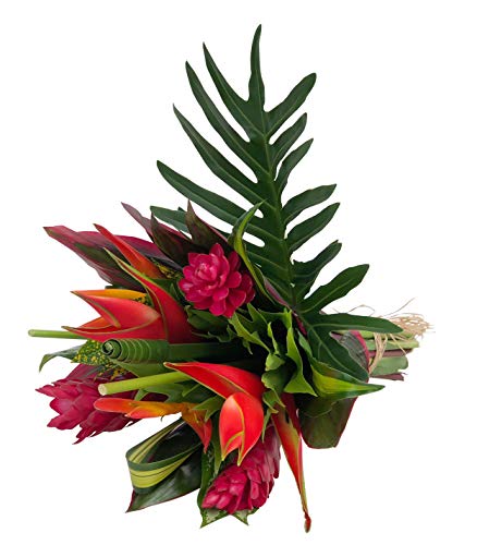Bloomsybox: Tropical Bouquet Treasure With Bright Heliconias, Pink Ginger And Tropical Greener | Fresh Cut Flowers, Hand-Tied, Farm Fresh Flowers Bouquet | Perfect For Weddings, Birthdays, Anniversary #TOP5