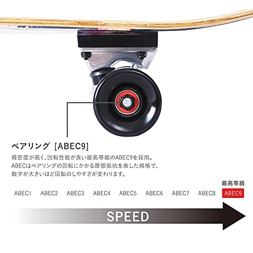 PONTAPES スケートボード クルーザー POSKT-5050C