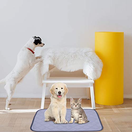 VILLCASE 2 Peças Reutilizáveis Lavável Antiderrapante Esteiras Almofadas de Treinamento Xixi Fazer C