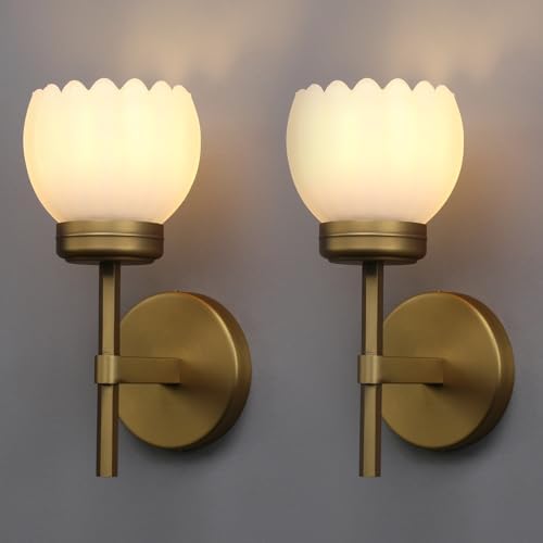 Yosoan Brass Boho Indoor Vintage Wall Sconce Set of 2, Modern Van...