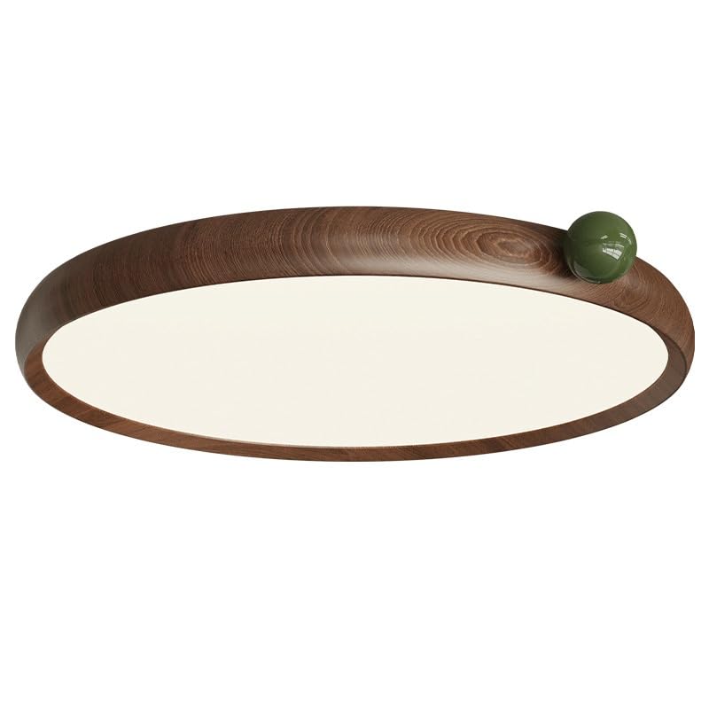Plafonnier LED minimaliste de 19,7 pouces pour entrée et couloir