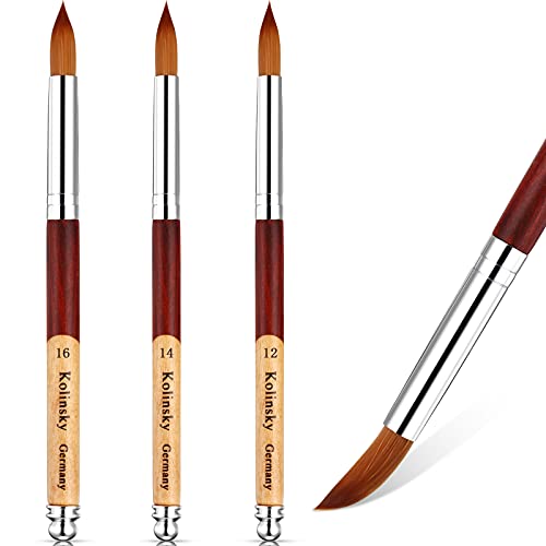 3 Pieces Kolinsky Acrylic Nail Brush, Acrylic Nails Art Brush with 2-Color Stitching Design Round Wood Handle for Acrylic Application Manicure (Size 12, 14, 16)