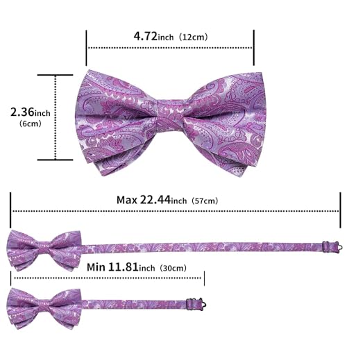 Corbata de moño paisley de seda para hombre miniatura 6