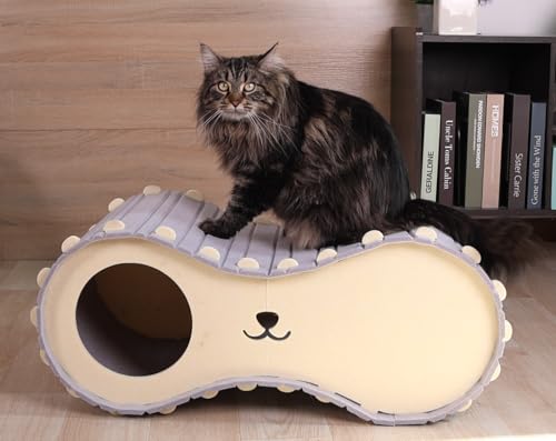 INFANZIA Casa para gatos em ambientes internos – Caverna dobrável de feltro com bola, condomínio gra