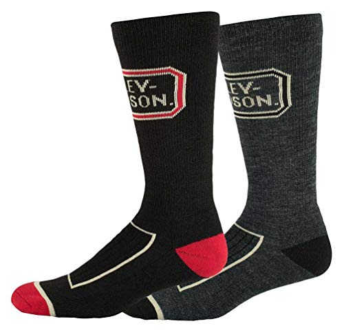 Harley-Davidson Men's H-D Logo Performance Riding Socks, 2 Pack D99236370-001