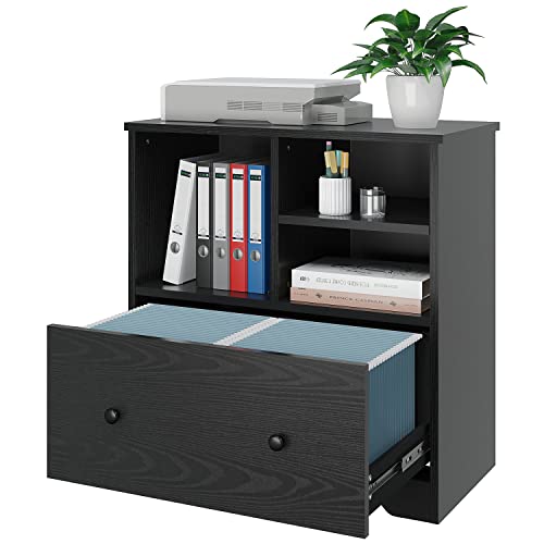 Panana Wood File Cabinet With A Big Drawer, Mobile Lateral Filing Cabinet On Wheels (Black S2) #TOP5