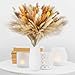 CHENGCKJ 100 Pezzi Decorazione di Pampas Grass Naturale, Erba della Pampa Decorative 40cm Fiori Secchi Decorativi con Foglie di Eucalipto Lavanda Boho