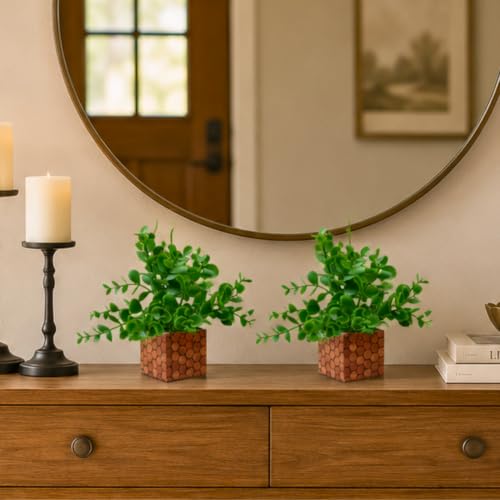 Image of DecoreBugs Artificial Eucalyptus Plant with Plastic Pot (Pack of 2) | 12 cm Height | Mini Potted Plants for Shelf Decor, Home, Office, Living Room, Desk & Table Item Decoration