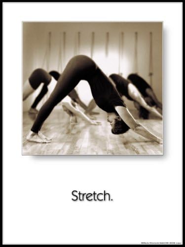 Fitnus Chart Series Stretch 18" X 24" Laminated Yoga Poster